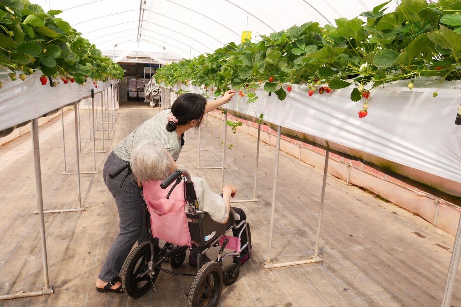 この記事を書いたライター